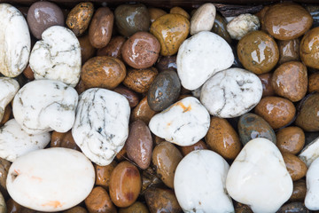Pebble stone background,river rocks background.