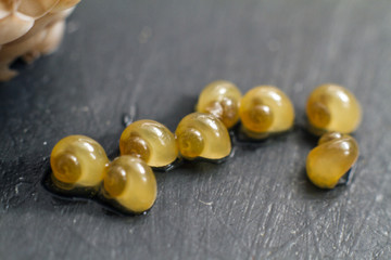 caviar of yellow snails