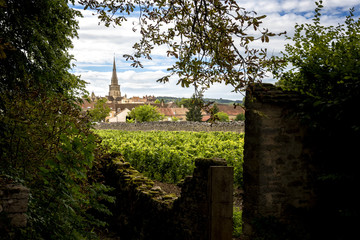 Fototapeta na wymiar Burgundy, Meursault. View of the village from the walls of the Château de Meursault. Cote d'Or. France