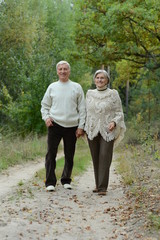 Obraz premium beautiful caucasian senior couple walking