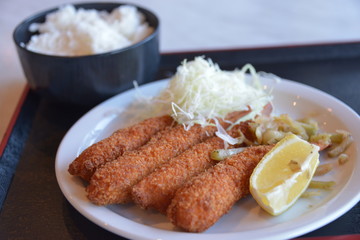 Taka Japanese cuisine fast food restaurant