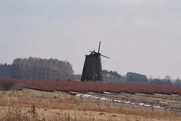 stary drewniany młyn na Podlasiu © agnieszkalll