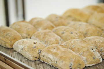 Bread at bakery 