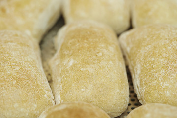 Bread at bakery 