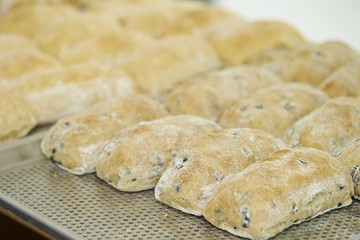 Chocolate chip bread 