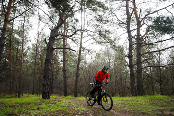 Fototapeta premium Cyclist Riding Mountain Bike in the Fog on the Trail in the Beautiful Pine Forest. Adventure and Travel Concept.