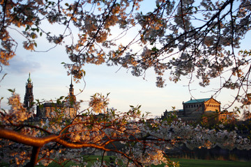 Dresden Skyline am Abend