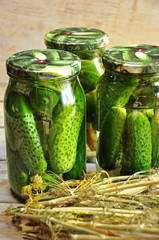 Traditional Polish pickled cucumbers