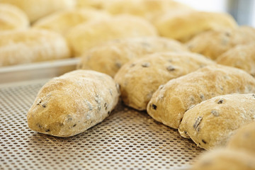 Chocolate chip bread 