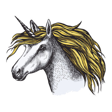 Unicorn horse fairy tale animal head vector sketch