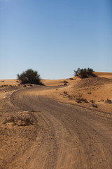 Fototapeta na wymiar Road in desert