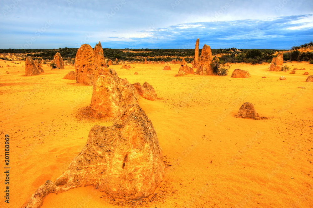 Wall mural The Pinnacles Desert, Australia