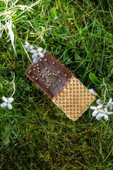 waffel sandwich eis liegt im gras