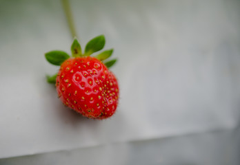 Fresh strawberry ready to be picked.