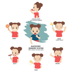 Illustration of human senses