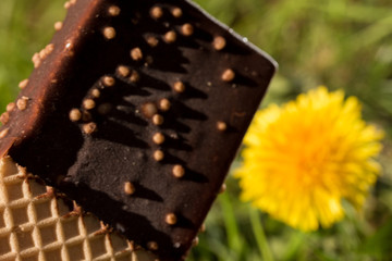 Sandwich Eis und gelber Löwenzahn