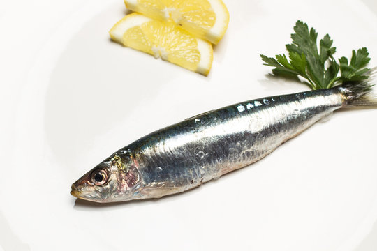 Sardina sobre un plato con rodajas de lim&oacute;n. Vista superior