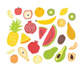 Set of tasty ripe juicy exotic tropical fruits, whole and cut into slices - pineapple, pomegranate, watermelon, banana, apricot, orange, coconut, pear, peach. Vector illustration in doodle style.