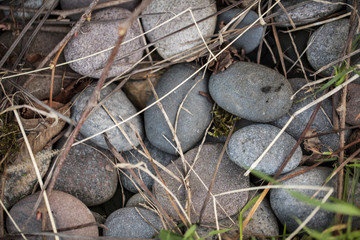 Kamienie przy altanie  © Rafal Kucharek