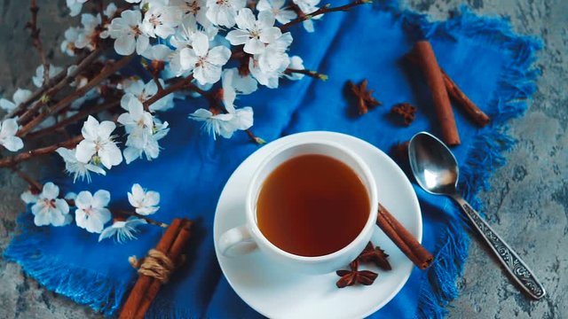 Apricot flowers and tea cup. Spring atmosphere.