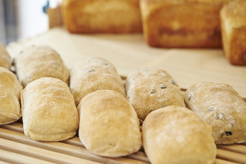 Bread at bakery 