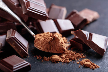 Broken chocolate pieces and cocoa powder.