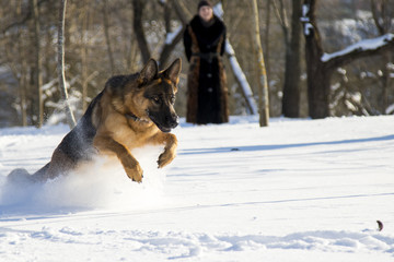 Woman playing with the german shepherd in the winter park