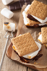 homemade marshmallow s'mores with chocolate on crackers