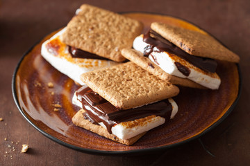 homemade marshmallow s'mores with chocolate on crackers