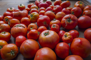 Fresh Tomatoes