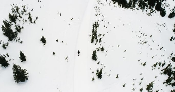 Snowmobile Winter Man Driving Down Trail Birds Eye View Drone Shot