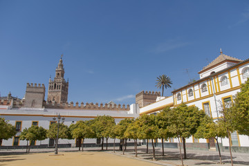 Fototapeta premium Bonita vista de la Giralda de Sevilla vista desde el patio de Banderas, España