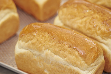 bread