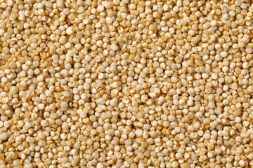 Fototapeta premium white quinoa seeds