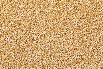 white quinoa seeds