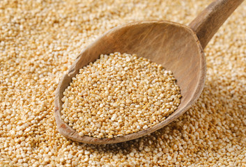 white quinoa seeds