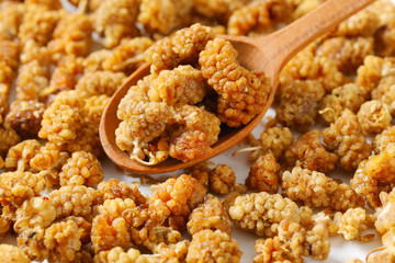 dried white mulberries