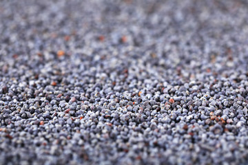 whole poppy seeds