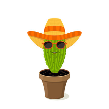 Cactus in the hat