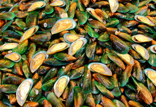 Asian green mussel (Perna viridis) soft focus for sale in Thailand street market. Seafood background