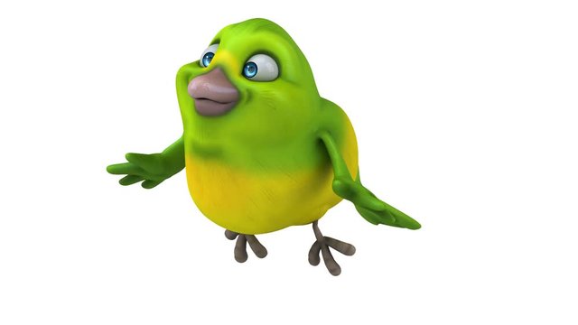 Green bird - 3D Animation