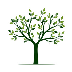 Obraz premium Green Tree. Vector Illustration.
