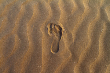 Fototapeta na wymiar Barefeet footprints on the sand dune in the desert