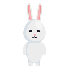 cute rabbit animal character vector illustration design