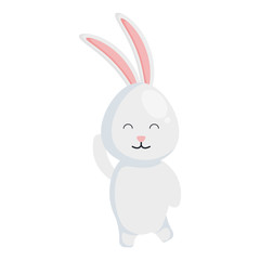 cute rabbit animal character vector illustration design