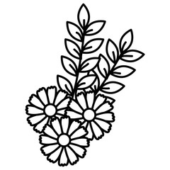 flowers and leafs decorative icon vector illustration design