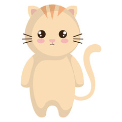 cute and little cat character vector illustration design