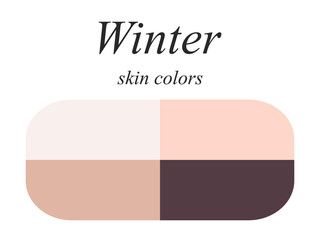 Stock vector seasonal color analysis palette for winter type of female appearance. Skin colors for winter type. 