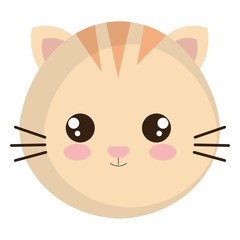 cute and little cat head character vector illustration design
