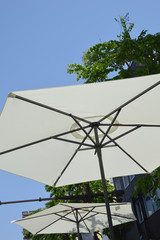 the sunshading parasol / 日よけのパラソル - タテ撮